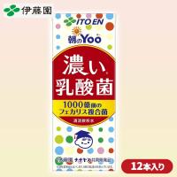 【朝のＹｏｏ濃い乳酸菌】伊藤園　12本セット【賞味期限：2025/06/09】