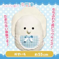 【みずいろ】つぶらな瞳のなまがきすたい　もちふわびっぐ