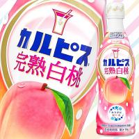 【完熟白桃】カルピス４７０ｍｌ【賞味期限：2025/10/11】