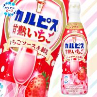 【甘熟いちご】カルピス４７０ｍｌ【賞味期限：2025/08/22】