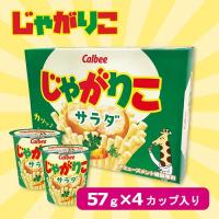 【サラダ】じゃがりこ4P BIG BOX【賞味期限：2025/06/24】