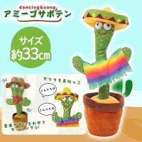 【レインボーライン】歌って踊るアミーゴサボテン