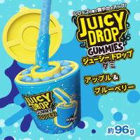 【アップル&ブルーベリー】フルーツディップグミアソート【賞味期限：2026/07/10】