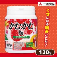 【梅】かむかむフルーツボトル【賞味期限：2025/12/30】