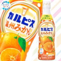 【温州みかん】カルピス　４７０ｍｌ【賞味期限：2025/11/02】