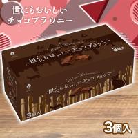 【チョコ】世にもおいしいブラウニーBOX【賞味期限：2024/11/04】