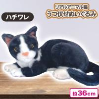 【ハチワレ】リアルアニマル猫うつ伏せぬいぐるみ7