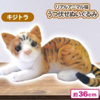 【キジトラ（茶）】リアルアニマル猫うつ伏せぬいぐるみ7