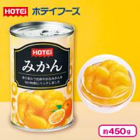 【みかん】フルーツ缶詰 【賞味期限：2028/01/01】