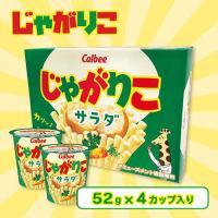【サラダ】じゃがりこ4P BIG BOX【賞味期限：2025/10/14】