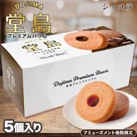 【ショコラ】堂島プレミアムバウム【賞味期限：2025/10/15】
