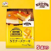 【NYチーズケーキ】不二家　カントリーマアムマイスターズ【賞味期限：2026/02/28】