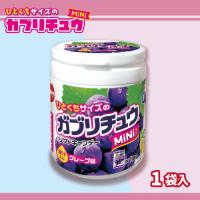 【グレープ味】ガブリチュウMINIミニボトル【賞味期限：2026/05/31】