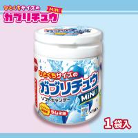 【ラムネ味】ガブリチュウMINIミニボトル【賞味期限：2026/05/31】