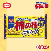 【うましお】亀田製菓　柿の種【賞味期限：2026/01/31】