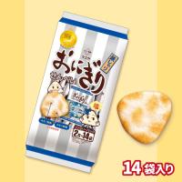 【銀しゃり】おにぎりせんべい【賞味期限：2026/02/06】