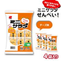 【チーズ味】ミニサラダアソート【賞味期限：2026/01/31】