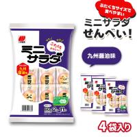 【九州醤油味】ミニサラダ【賞味期限：2026/01/31】