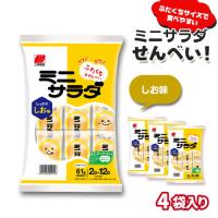 【しお味】ミニサラダアソート【賞味期限：2026/02/28】