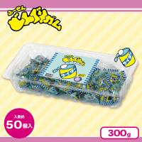 【サイダー】どんぐりガム透明トレー【賞味期限：2026/07/31】