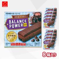 【カカオブラウニー】バランスパワービッグ【賞味期限：2026/08/25】