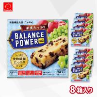 【果実たっぷり】バランスパワービッグ【賞味期限：2026/08/06】