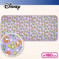 【プリンセス・パープル】ディズニーセンターラグ