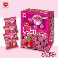 【いちご】しっとりチョコミドルBOX【賞味期限：2026/02/28】