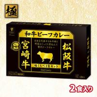 【宮崎＆松坂牛】日本一の和牛カレー　味くらべＢＩＧＢＯＸ２種【賞味期限：2027/04/23】