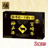 【宮崎＆神戸牛】日本一の和牛カレー　味くらべＢＩＧＢＯＸ２種【賞味期限：2027/05/22】