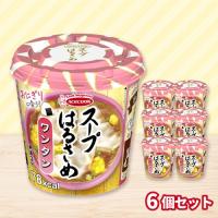 【ワンタン】スープはるさめ【賞味期限：2026/04/10】