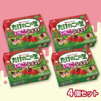 【いちご＆ショコラ】たけのこの里【賞味期限：2026/08/30】