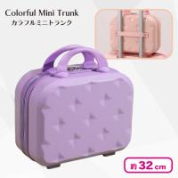 【パープル】カラフルミニトランク２