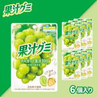 【マスカット】明治 果汁グミ【賞味期限：2026/08/31】