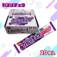 【グレープ】ガブリチュウアソート【賞味期限：2026/08/31】