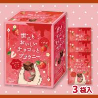 【イチゴ】チョコっとブラウニーミドルBOX【賞味期限：2026/03/04】
