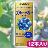 【ブルーベリーミックス】伊藤園12本セット【賞味期限：2026/04/30】