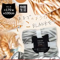 【サバトラ】まるで猫のようなブランケット2025