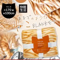 【茶トラ】まるで猫のようなブランケット2025