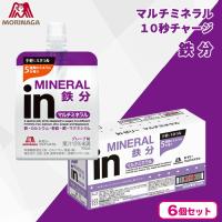 【マルチミネラル】inゼリー 6個セット【賞味期限：2026/06/30】