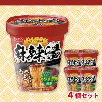 【麻辣湯】即席春雨　麻辣湯‾マーラータン‾【賞味期限：2026/08/02】