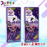 【イタリアングレープ味】AMブロックBOX　フェットチーネグミ2個セット【賞味期限：2026/06/30】