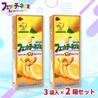 【イタリアンレモン味】AMブロックBOX　フェットチーネグミ2個セット【賞味期限：2026/07/31】