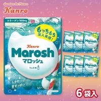 【ラムネ味】マロッシュ　大人買いBOX【賞味期限：2026/11/30】