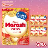 【アップルサイダー味】マロッシュ　大人買いBOX【賞味期限：2026/10/31】