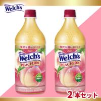 【ピーチ】ウェルチ×2本セット【賞味期限：2026/09/30】