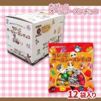【チョコ味】ちびっこオールシーズンチョコ【賞味期限：2027/05/31】