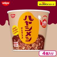 【ハヤシメシ】日清　カレーメシ　4個セット【賞味期限：2026/08/16】