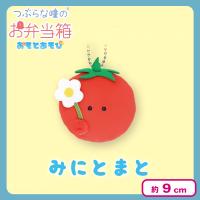 【みにとまと】つぶらな瞳のお弁当箱おそとあそび