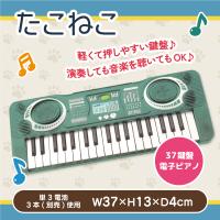 【ブルー】たこねこ 37鍵盤　電子ピアノ